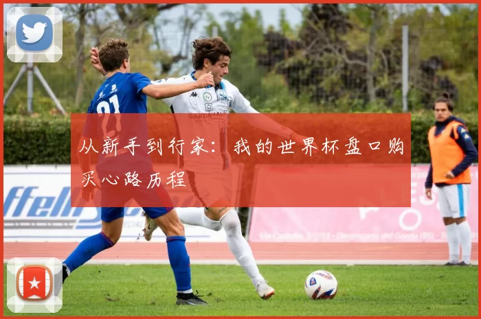 从新手到行家：我的世界杯盘口购买心路历程