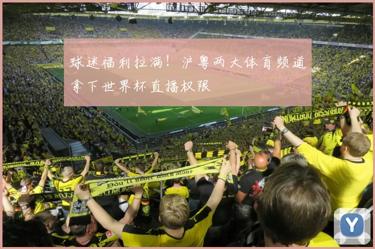 球迷福利拉满!沪粤两大体育频道拿下世界杯直播权限