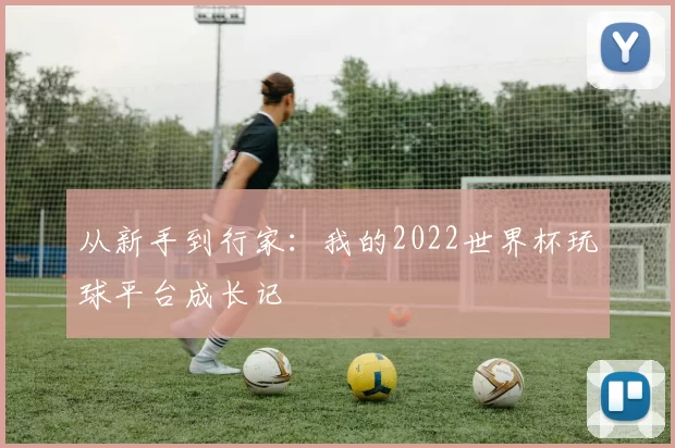 从新手到行家:我的2022世界杯玩球平台成长记