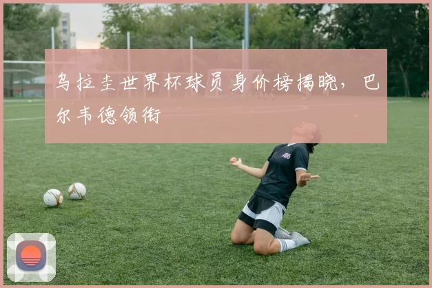 乌拉圭世界杯球员身价榜揭晓，巴尔韦德领衔