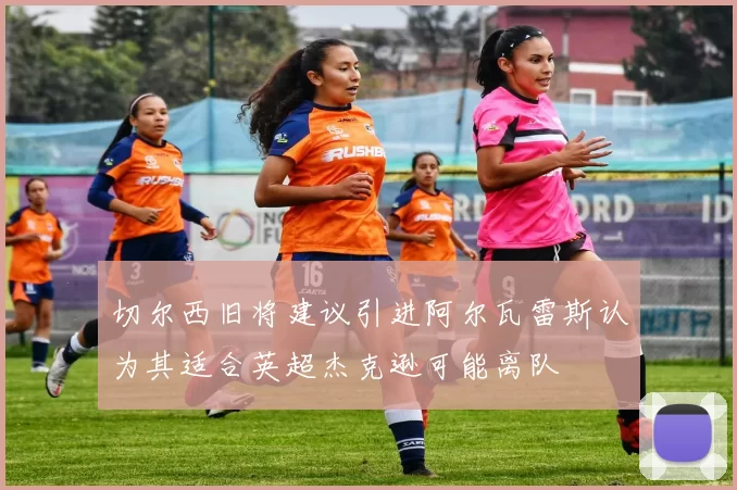 切尔西旧将建议引进阿尔瓦雷斯认为其适合英超杰克逊可能离队