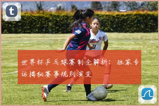 世界杯乒乓球赛制全解析:独家专访揭秘赛事规则演变