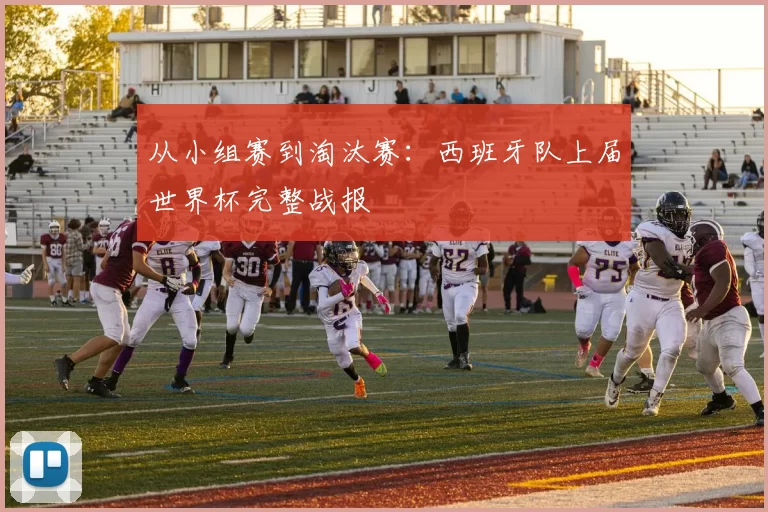 从小组赛到淘汰赛：西班牙队上届世界杯完整战报