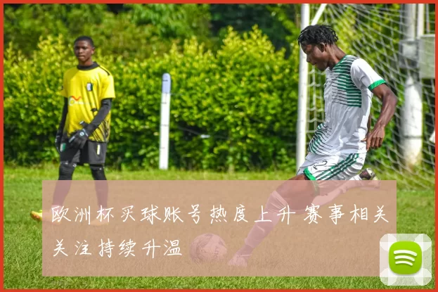 欧洲杯买球账号热度上升 赛事相关关注持续升温