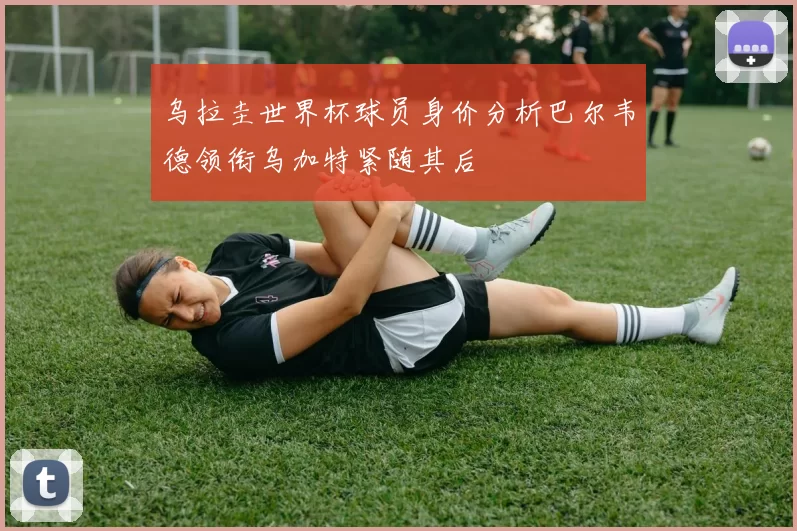 乌拉圭世界杯球员身价分析巴尔韦德领衔乌加特紧随其后