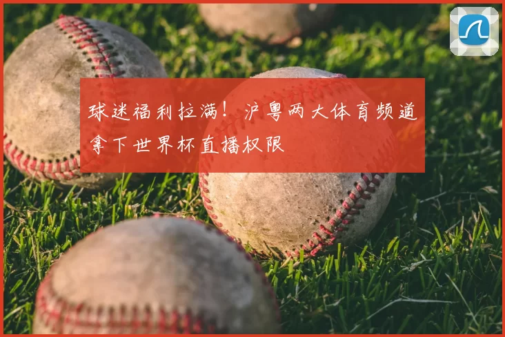 球迷福利拉满！沪粤两大体育频道拿下世界杯直播权限