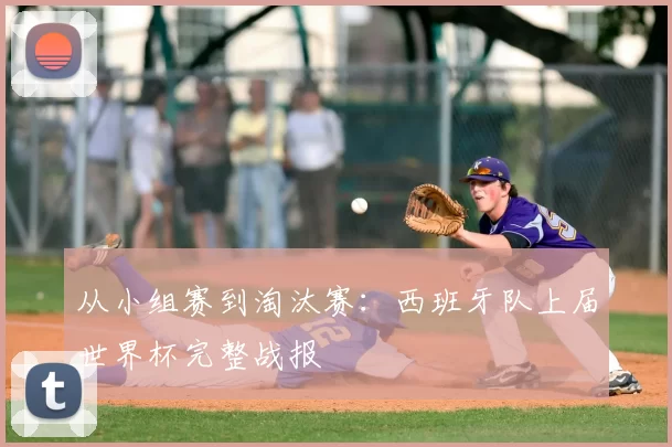 从小组赛到淘汰赛：西班牙队上届世界杯完整战报