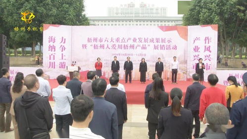 梧州六大重点产业成果闪耀，本土品牌展销与文化交流共绘发展新篇