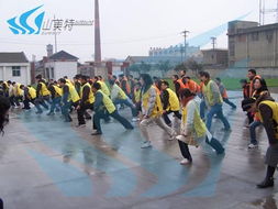 山美特 专业体验式拓展训练，助力企业团队成长与文化艺术交流